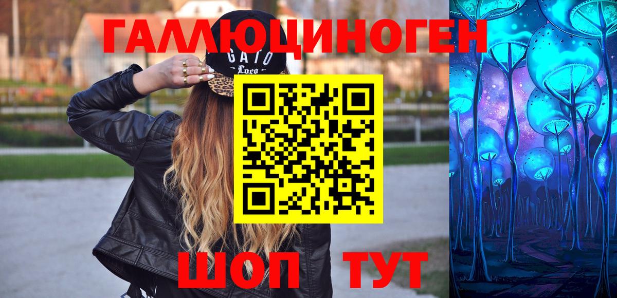 Будённовск  наркотики  Вход с VPN  Псилоцибиновые грибы мицелий 