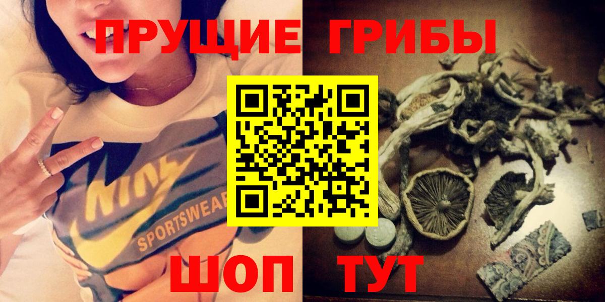 Галлюциногенные грибы мухоморы Будённовск
